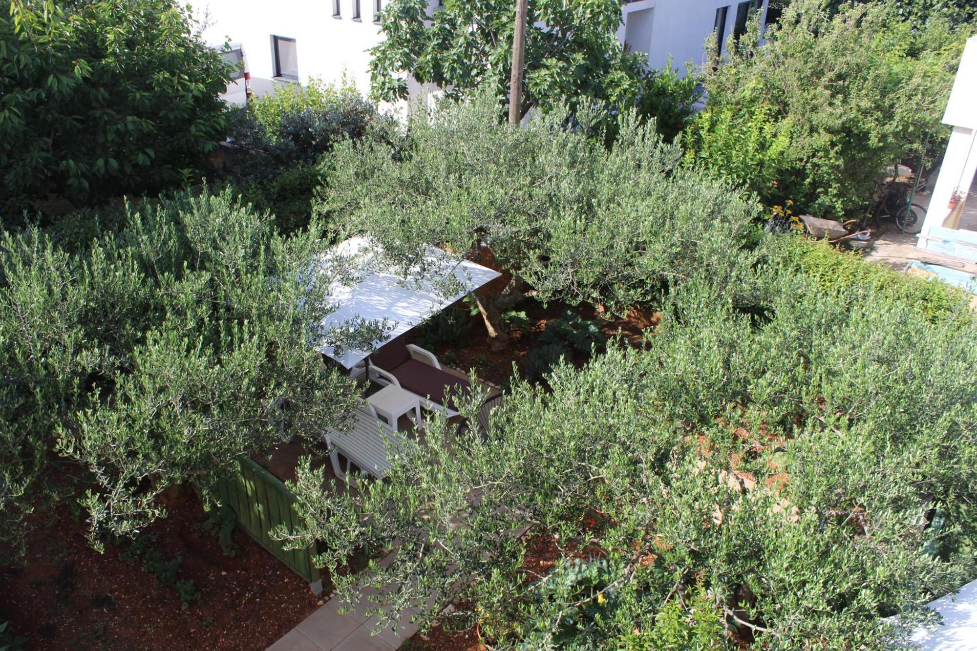 Apartments & Rooms Tea Zadar Exterior photo